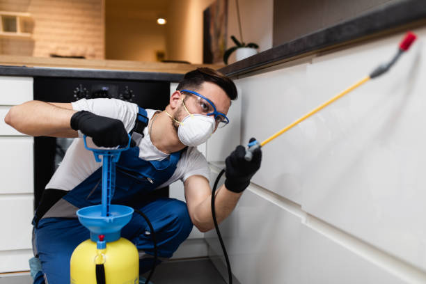 Best Wasp Removal Services  in Cresco, IA