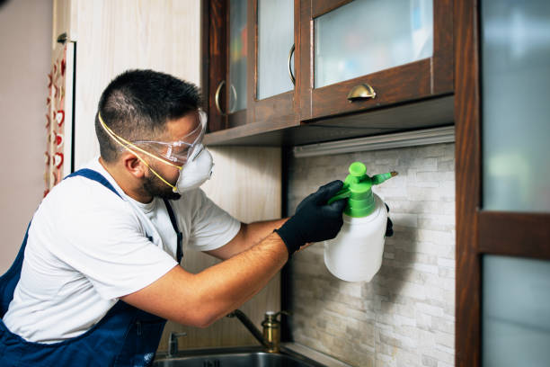 Best Rat Extermination Near Me  in Cresco, IA