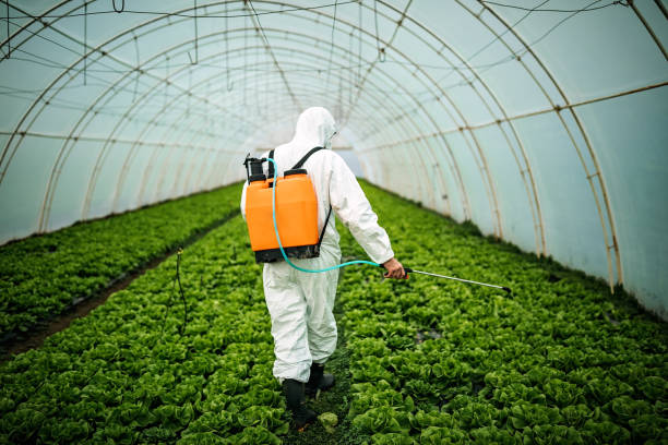 Best Local Pest Control Services  in Cresco, IA
