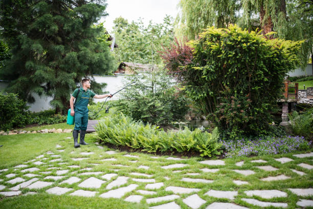 Best Mosquito Control Services  in Cresco, IA