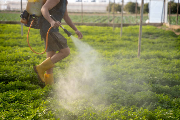 Best Pest Removal Services  in Cresco, IA