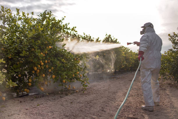 Best Affordable Pest Control Services  in Cresco, IA